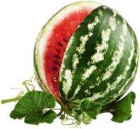 Watermelon - mejora la circulación y protección antioxidante